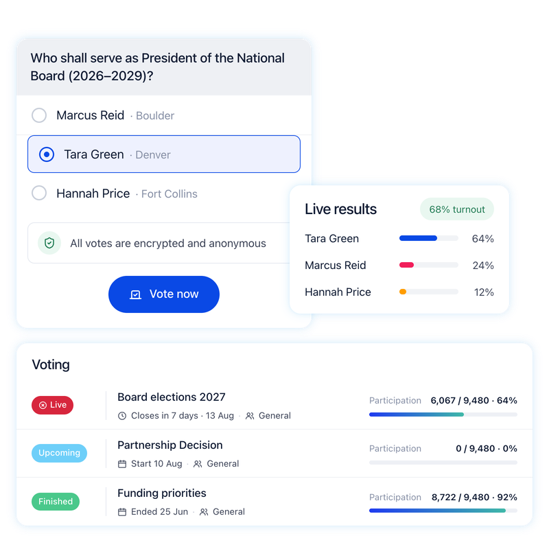 A live board election in Orgo with encrypted ballots, turnout figures and a ballot receipt
