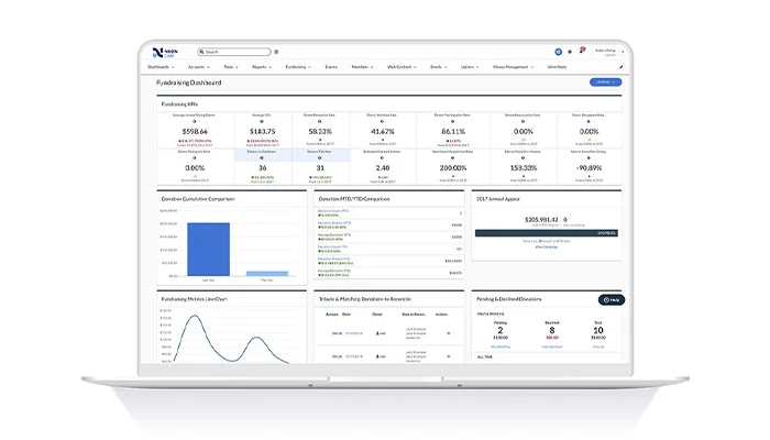 Neon CRM fundraising campaign dashboard